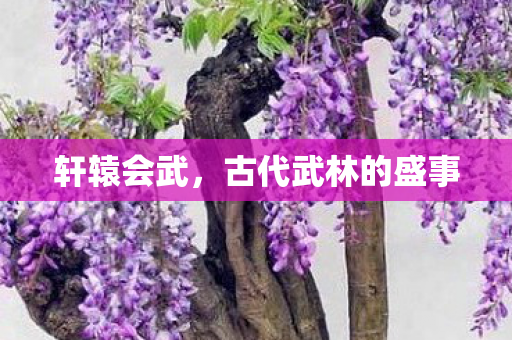 轩辕会武,古代武林的盛事 轩辕会武,古代武林的盛事
