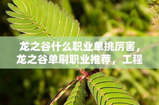 龙之谷什么职业单挑厉害,龙之谷单刷职业推荐,工程师与魔法师 龙之谷什么职业单挑厉害,龙之谷单刷职业推荐,工程师与魔法师