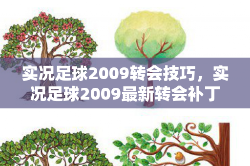 实况足球2009转会技巧,实况足球2009最新转会补丁,重塑绿茵场,激情再燃! 实况足球2009转会技巧,实况足球2009最新转会补丁,重塑绿茵场,激情再燃!