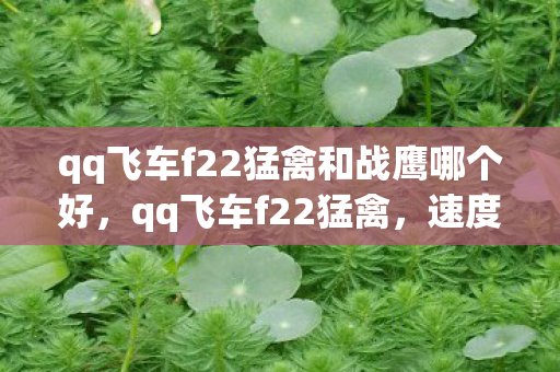 qq飞车f22猛禽和战鹰哪个好,qq飞车f22猛禽,速度与激情的云端对决 qq飞车f22猛禽和战鹰哪个好,qq飞车f22猛禽,速度与激情的云端对决