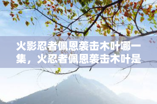 火影忍者佩恩袭击木叶哪一集,火忍者佩恩袭击木叶是第几集 火影忍者佩恩袭击木叶哪一集,火忍者佩恩袭击木叶是第几集