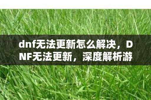 dnf无法更新怎么解决，DNF无法更新，深度解析游戏更新难题与解决方案