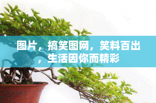 图片,搞笑图网,笑料百出,生活因你而精彩 图片,搞笑图网,笑料百出,生活因你而精彩