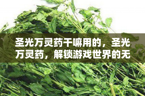 圣光万灵药干嘛用的，圣光万灵药，解锁游戏世界的无限可能