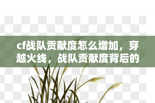 cf战队贡献度怎么增加,穿越火线,战队贡献度背后的故事 cf战队贡献度怎么增加,穿越火线,战队贡献度背后的故事