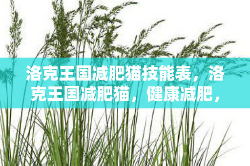 洛克王国减肥猫技能表,洛克王国减肥猫,健康减肥,快乐生活 洛克王国减肥猫技能表,洛克王国减肥猫,健康减肥,快乐生活