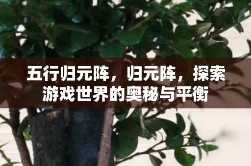 五行归元阵,归元阵,探索游戏世界的奥秘与平衡 五行归元阵,归元阵,探索游戏世界的奥秘与平衡