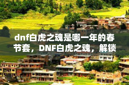 dnf白虎之魂是哪一年的春节套,DNF白虎之魂,解锁战斗新境界的必备神器 dnf白虎之魂是哪一年的春节套,DNF白虎之魂,解锁战斗新境界的必备神器