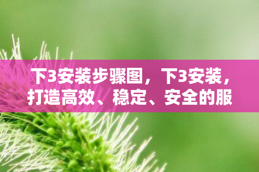 下3安装步骤图,下3安装,打造高效、稳定、安全的服务器环境 下3安装步骤图,下3安装,打造高效、稳定、安全的服务器环境
