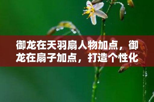 御龙在天羽扇人物加点，御龙在扇子加点，打造个性化角色，提升战斗实力