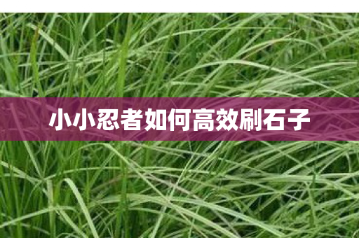 小小忍者如何高效刷石子 小小忍者如何高效刷石子