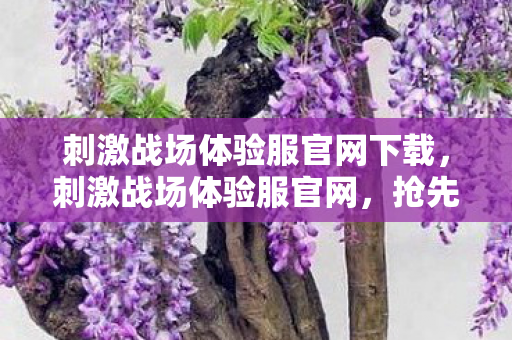 刺激战场体验服官网下载,刺激战场体验服官网,抢先体验,尽享游戏乐趣 刺激战场体验服官网下载,刺激战场体验服官网,抢先体验,尽享游戏乐趣