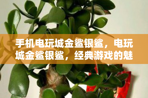 手机电玩城金鲨银鲨，电玩城金鲨银鲨，经典游戏的魅力与未来展望
