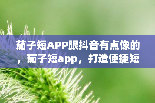 茄子短APP跟抖音有点像的,茄子短app,打造便捷短视频分享新体验 茄子短APP跟抖音有点像的,茄子短app,打造便捷短视频分享新体验