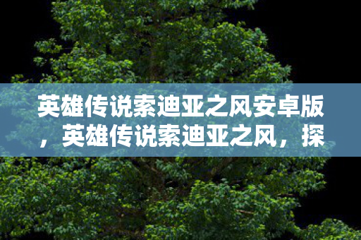 英雄传说索迪亚之风安卓版,英雄传说索迪亚之风,探索未知世界的奇幻之旅 英雄传说索迪亚之风安卓版,英雄传说索迪亚之风,探索未知世界的奇幻之旅