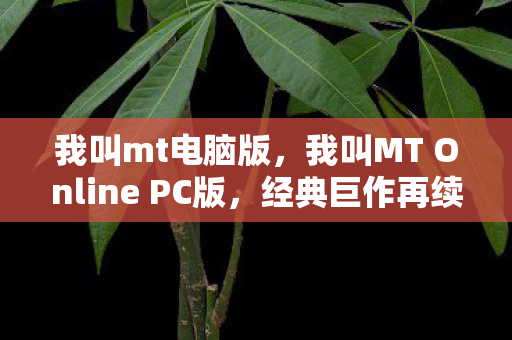 我叫mt电脑版,我叫MT Online PC版,经典巨作再续传奇 我叫mt电脑版,我叫MT Online PC版,经典巨作再续传奇