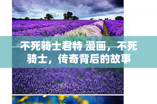 不死骑士君特 漫画,不死骑士,传奇背后的故事 不死骑士君特 漫画,不死骑士,传奇背后的故事