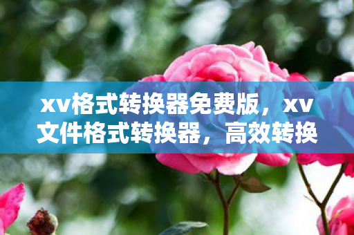 xv格式转换器免费版，xv文件格式转换器，高效转换，轻松应对各种文件格式