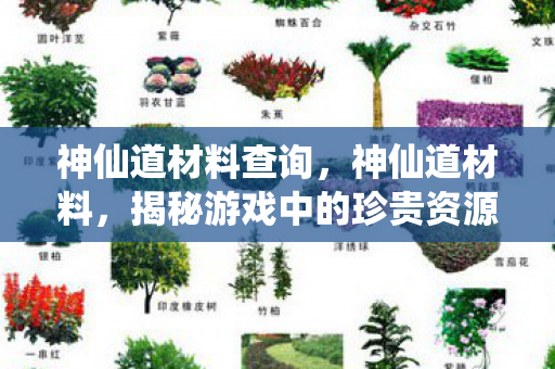 神仙道材料查询，神仙道材料，揭秘游戏中的珍贵资源