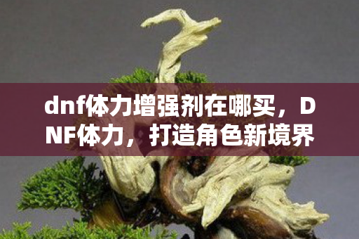 dnf体力增强剂在哪买,DNF体力,打造角色新境界的秘诀 dnf体力增强剂在哪买,DNF体力,打造角色新境界的秘诀
