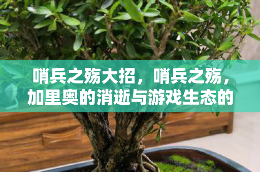哨兵之殇大招，哨兵之殇，加里奥的消逝与游戏生态的反思