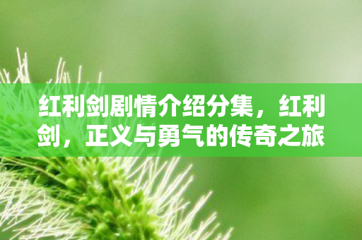 红利剑剧情介绍分集，红利剑，正义与勇气的传奇之旅