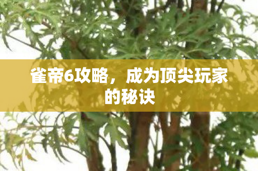 雀帝6攻略,成为顶尖玩家的秘诀 雀帝6攻略,成为顶尖玩家的秘诀