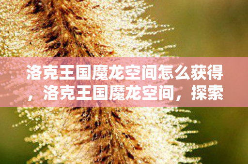 洛克王国魔龙空间怎么获得,洛克王国魔龙空间,探索神秘世界的奇幻之旅 洛克王国魔龙空间怎么获得,洛克王国魔龙空间,探索神秘世界的奇幻之旅
