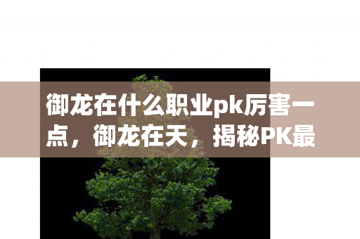 御龙在什么职业pk厉害一点，御龙在天，揭秘PK最厉害的职业