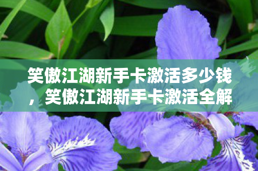 笑傲江湖新手卡激活多少钱,笑傲江湖新手卡激活全解析,畅游江湖,一步之遥 笑傲江湖新手卡激活多少钱,笑傲江湖新手卡激活全解析,畅游江湖,一步之遥