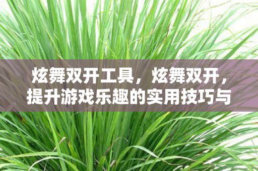 炫舞双开工具,炫舞双开,提升游戏乐趣的实用技巧与注意事项 炫舞双开工具,炫舞双开,提升游戏乐趣的实用技巧与注意事项