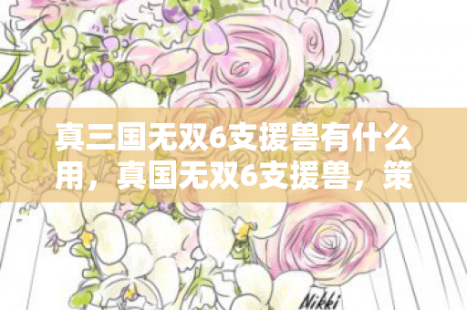真三国无双6支援兽有什么用,真国无双6支援兽,策略与力量的完美结合 真三国无双6支援兽有什么用,真国无双6支援兽,策略与力量的完美结合