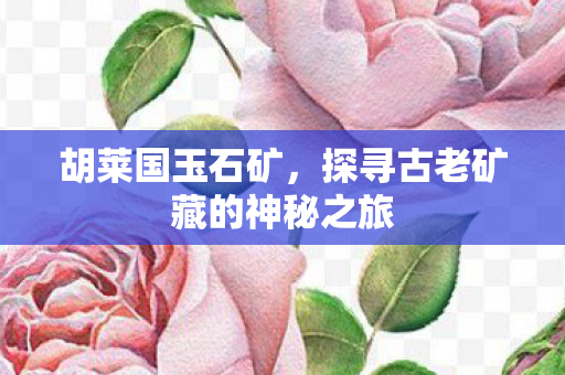 胡莱国玉石矿,探寻古老矿藏的神秘之旅 胡莱国玉石矿,探寻古老矿藏的神秘之旅