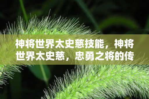 神将世界太史慈技能,神将世界太史慈,忠勇之将的传奇故事 神将世界太史慈技能,神将世界太史慈,忠勇之将的传奇故事