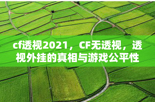 cf透视2021，CF无透视，透视外挂的真相与游戏公平性探讨