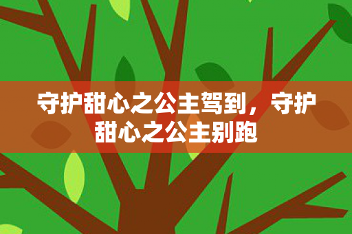 守护甜心之公主驾到，守护甜心之公主别跑