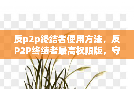 反p2p终结者使用方法，反P2P终结者最高权限版，守护网络安全的新利器