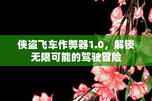 侠盗飞车作弊器1.0,解锁无限可能的驾驶冒险 侠盗飞车作弊器1.0,解锁无限可能的驾驶冒险