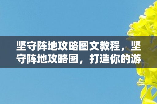 坚守阵地攻略图文教程,坚守阵地攻略图,打造你的游戏堡垒 坚守阵地攻略图文教程,坚守阵地攻略图,打造你的游戏堡垒