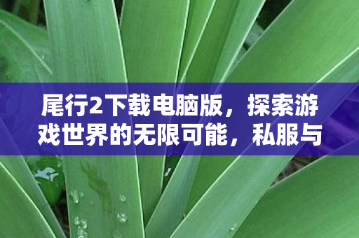 尾行2下载电脑版，探索游戏世界的无限可能，私服与官方服务器的独特魅力