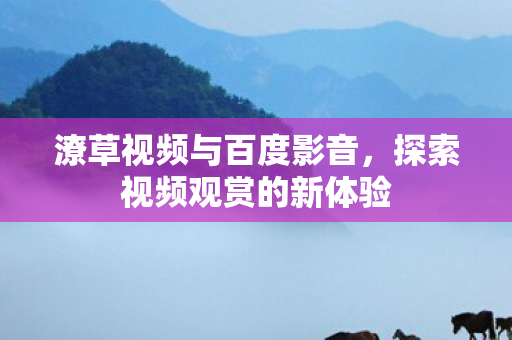 潦草视频与百度影音,探索视频观赏的新体验 潦草视频与百度影音,探索视频观赏的新体验