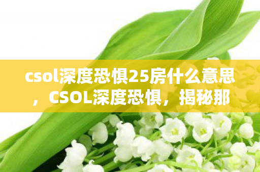 csol深度恐惧25房什么意思,CSOL深度恐惧,揭秘那些令人头疼的BUG csol深度恐惧25房什么意思,CSOL深度恐惧,揭秘那些令人头疼的BUG
