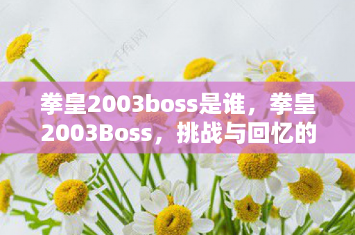 拳皇2003boss是谁，拳皇2003Boss，挑战与回忆的交织