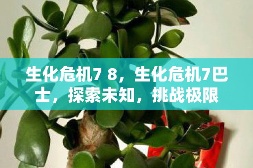 生化危机7 8,生化危机7巴士,探索未知,挑战极限 生化危机7 8,生化危机7巴士,探索未知,挑战极限