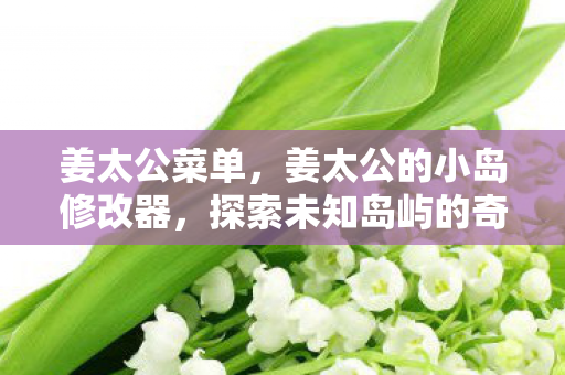 姜太公菜单，姜太公的小岛修改器，探索未知岛屿的奇妙之旅