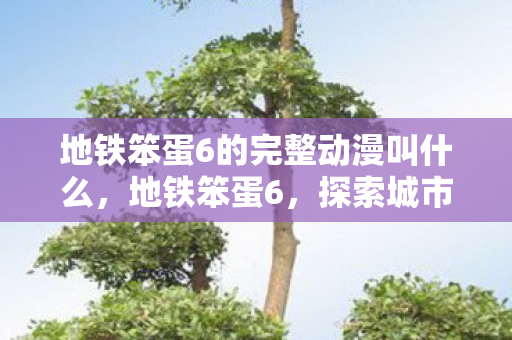 地铁笨蛋6的完整动漫叫什么,地铁笨蛋6,探索城市生活的另类视角 地铁笨蛋6的完整动漫叫什么,地铁笨蛋6,探索城市生活的另类视角