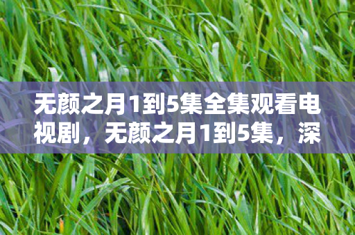 无颜之月1到5集全集观看电视剧，无颜之月1到5集，深度解析与观感分享