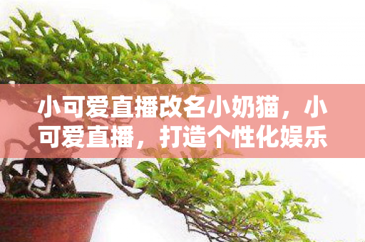 小可爱直播改名小奶猫,小可爱直播,打造个性化娱乐新体验 小可爱直播改名小奶猫,小可爱直播,打造个性化娱乐新体验