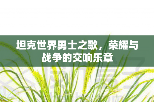 坦克世界勇士之歌,荣耀与战争的交响乐章 坦克世界勇士之歌,荣耀与战争的交响乐章