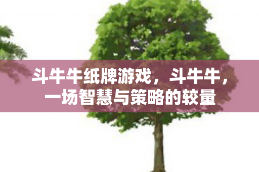 斗牛牛纸牌游戏，斗牛牛，一场智慧与策略的较量